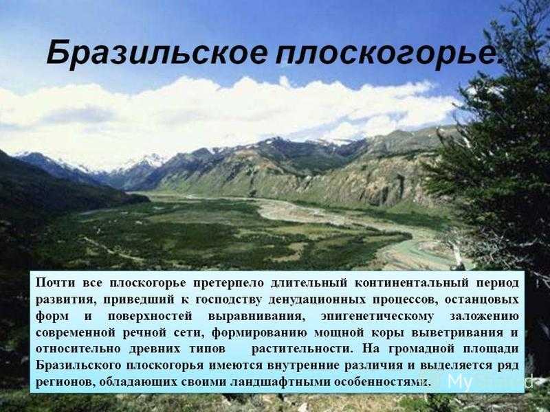 Бразильское плоскогорье