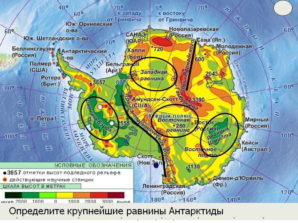 Зона арктических пустынь