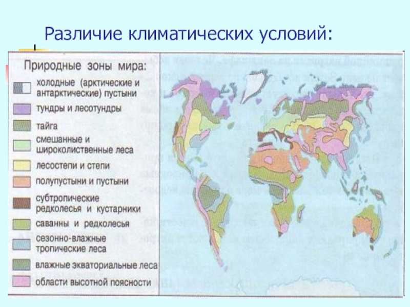 Типы климата