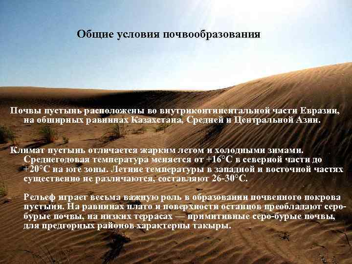 Бурые пустынно-степные почвы. бурые пустынно-степные солонцеватые и солончаковатые почвы