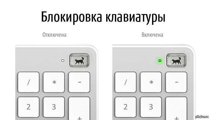 Как разблокировать клавиатуру на ноутбуке asus