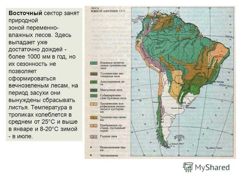 Климатический пояс переменно влажных лесов. типы флор_геоботаника. тропические пустыни и полупустыни