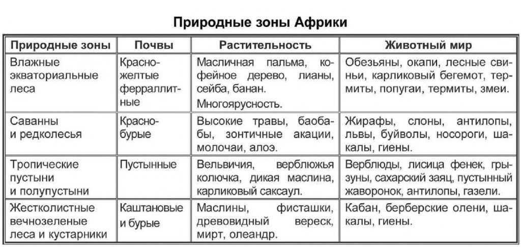 Презентация на тему: "природная зона жестколистных вечнозеленых лесов и кустарников презентация на тему 2014 презентацию выполнили ст. 3 к. 6 гр. маркиш е. и шлапак и. by barsetka.". скачать бесплатно и без регистрации.