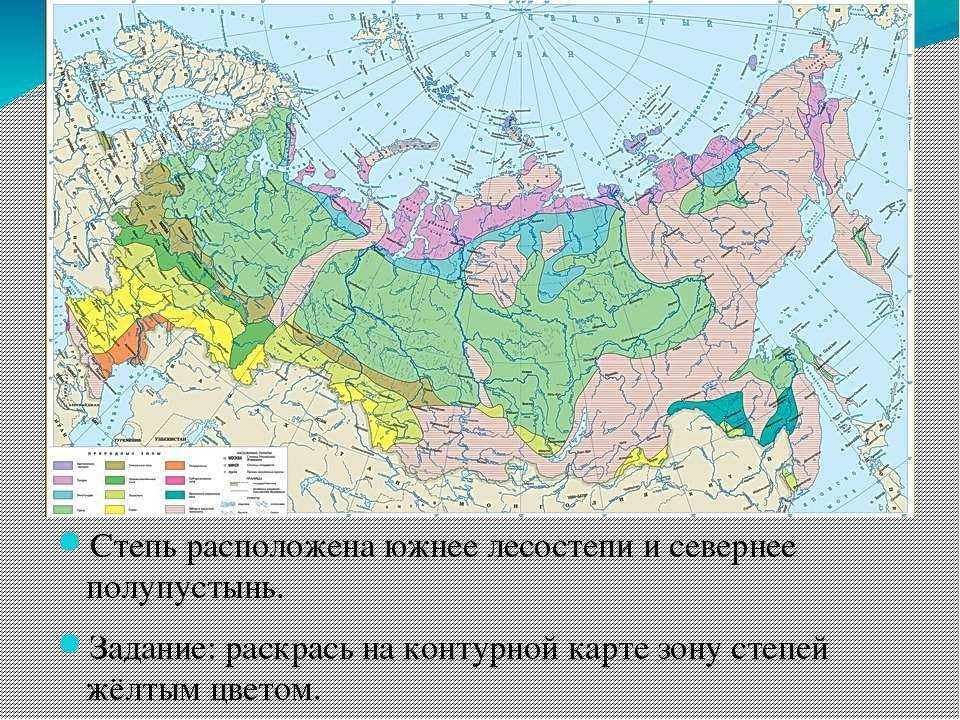 Какие природные зоны есть в степи. Степи на карте России природных зон. Лесостепная и Степная зоны на карте России. Расположение степей в России на карте. Географическое положение лесостепи и степи в России на карте.