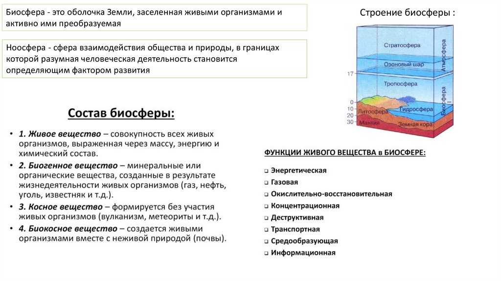 Почвы биосферы. Биосфера оболочка земли. Разнообразие организмов в биосфере. Оболочка земли населенная живыми организмами.