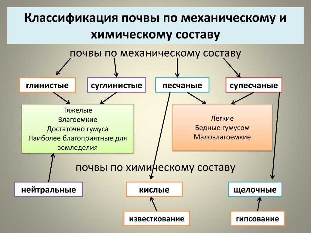 Презентация, доклад по географии на тему почвы своей местности. почвы алтайского края (8 класс)