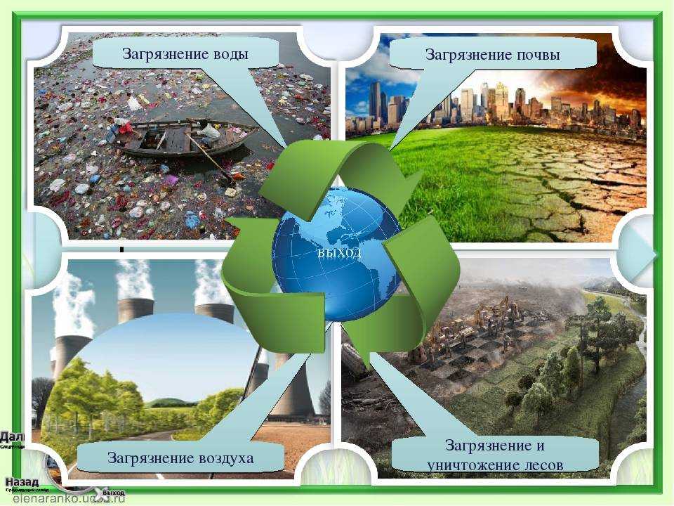 Что такое аридная зона и какие особенности она имеет