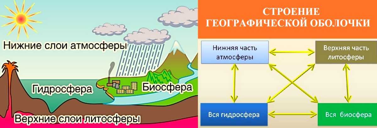Функции биосферы