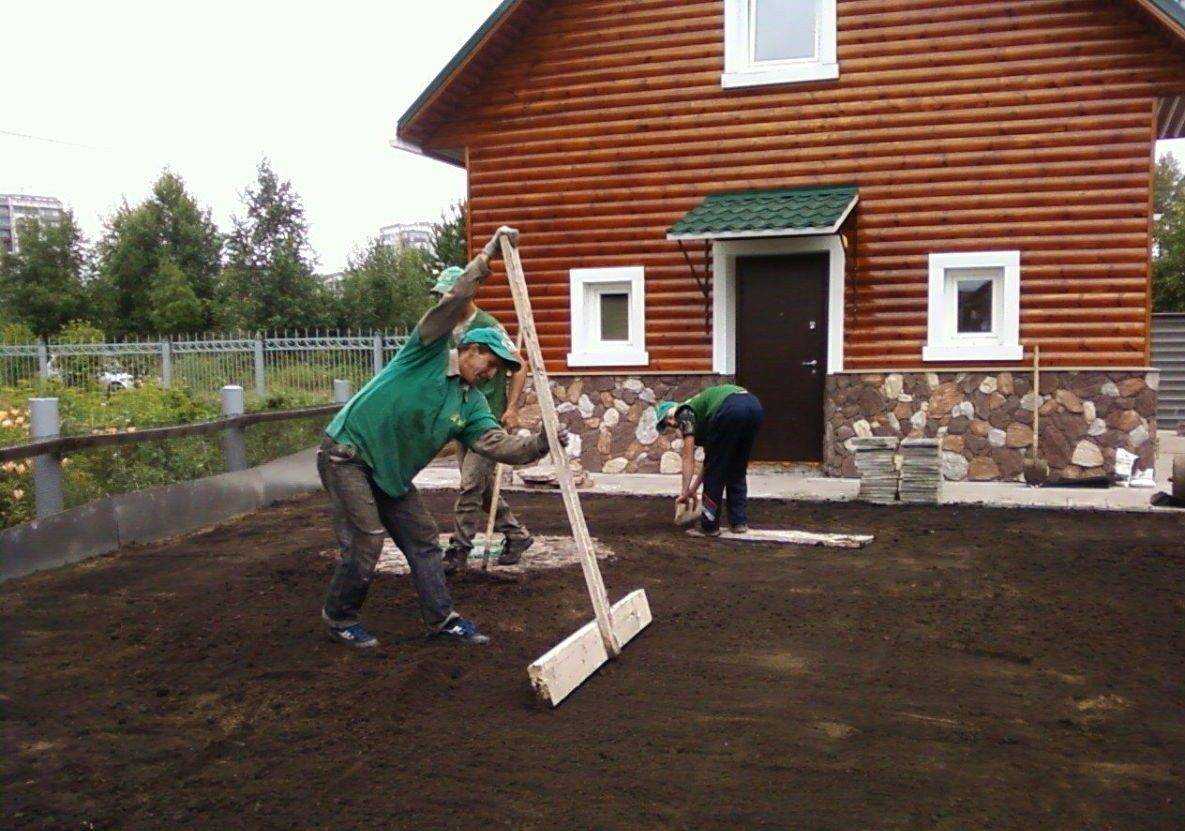 Что делать если участок заболоченный