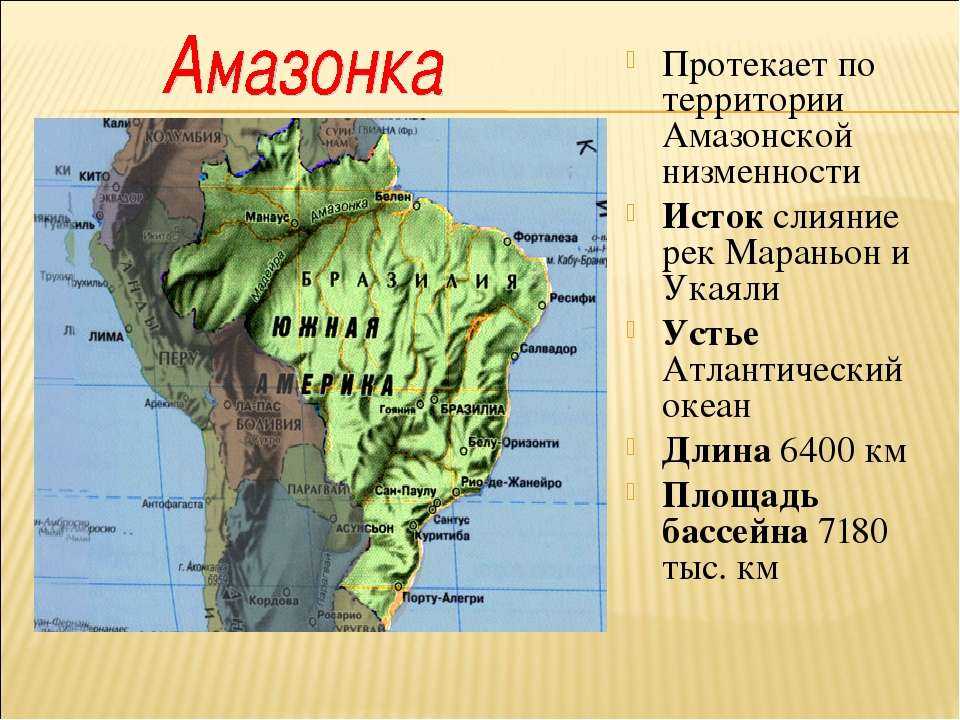 Амазонская низменность ️ географическое положение, протяженность и высота, строение рельефа, характеристика климата, полезные ископаемые, описание флоры и фауны