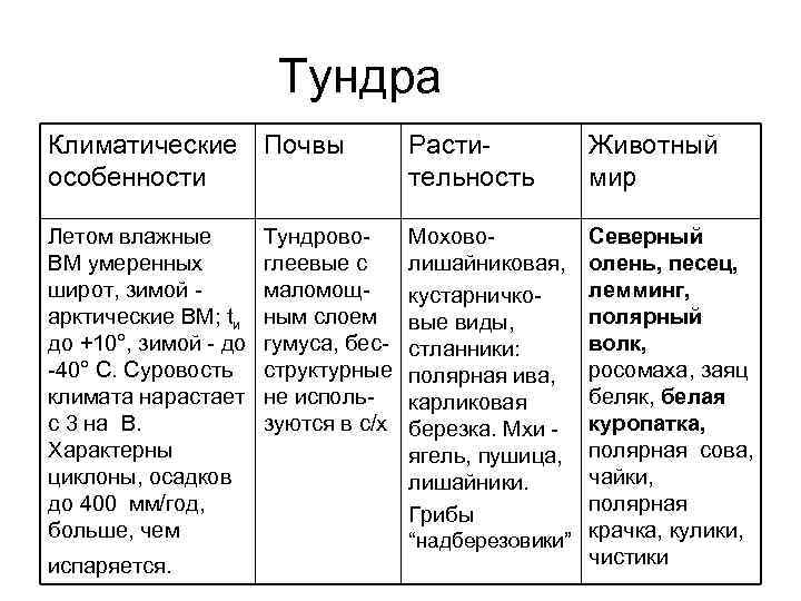 Характеристика природной зоны тундры