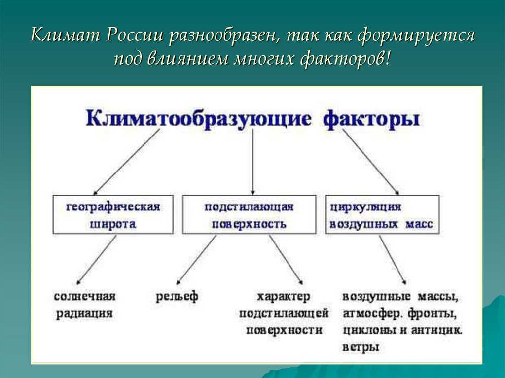 Растительность и климат