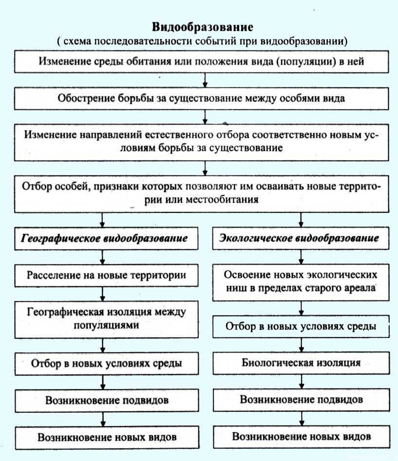 Видообразование. факторы и способы видообразования