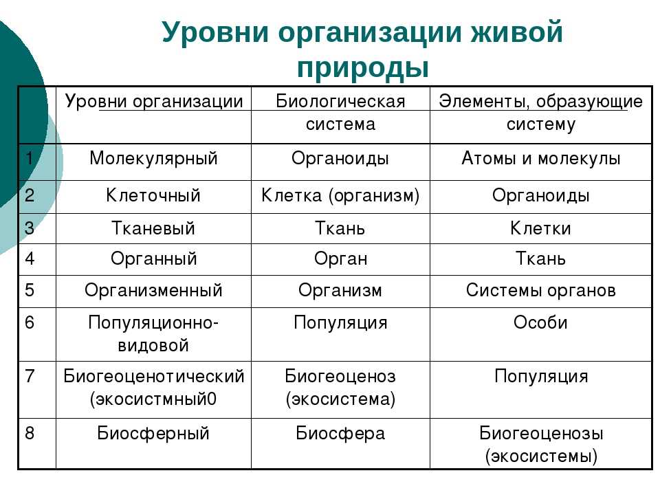 Квартира как биогеоценоз : реферат : биология