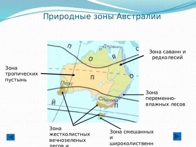 Краткое описание природных зон австралии