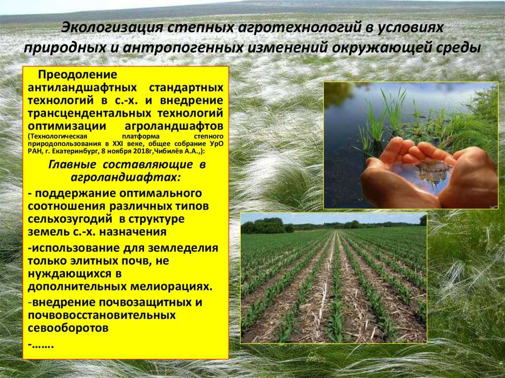 Ландшафтный исследование территории
