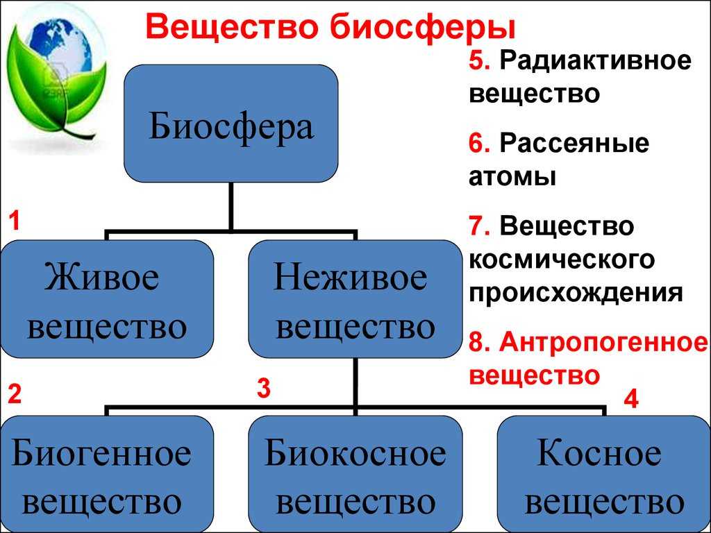 Функции  живого вещества в биосфере: основные глобальные и биохимические задачи, таблица