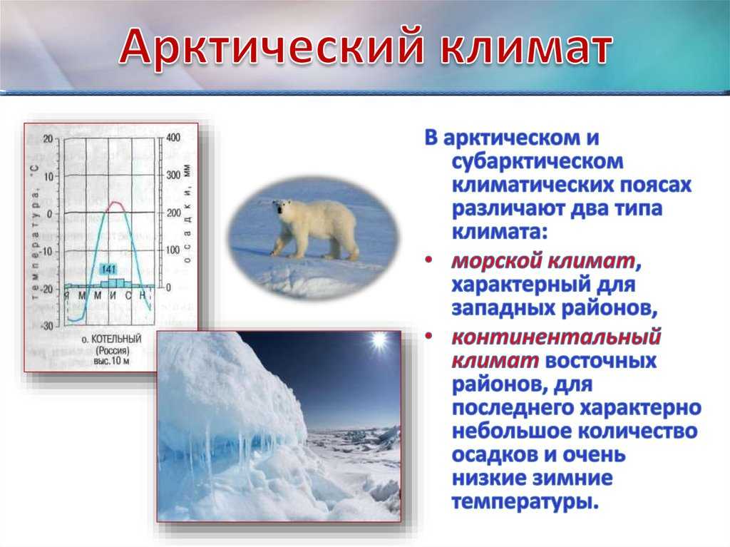 Климат арктический