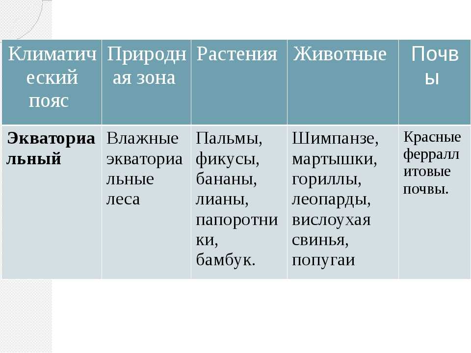 Климат влажных тропических лесов