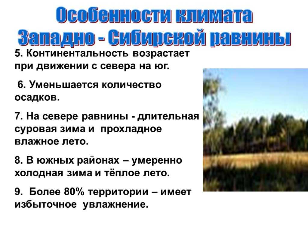 Природа сибири кратко. Западносибирскаяская равнина. Климат Западно сибирской равнины. Климатические условия Западно сибирской равнины. Особенности Западно сибирской равнины.