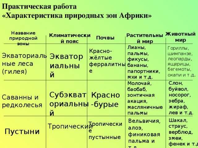 Растения и животные умеренного пояса - характеристика, особенности и условия жизни
