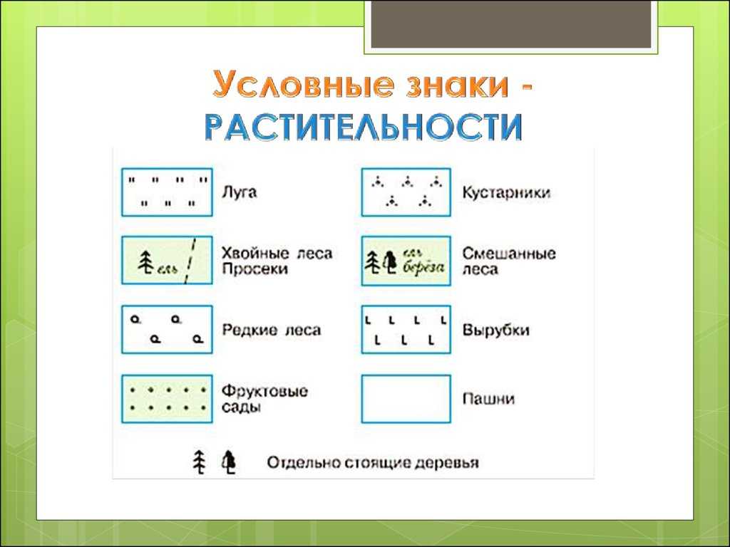 Условные знаки топографических карт: 4 основных группы