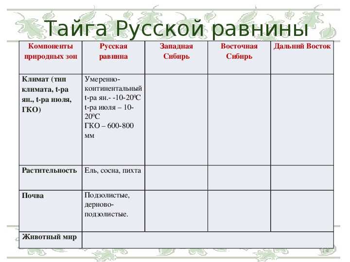 Природная зона тайги: распространение и значение (география, 8 класс)