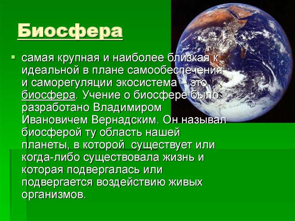 Учение вернадского о биосфере и ноосфере кратко – положения, роль, сущность