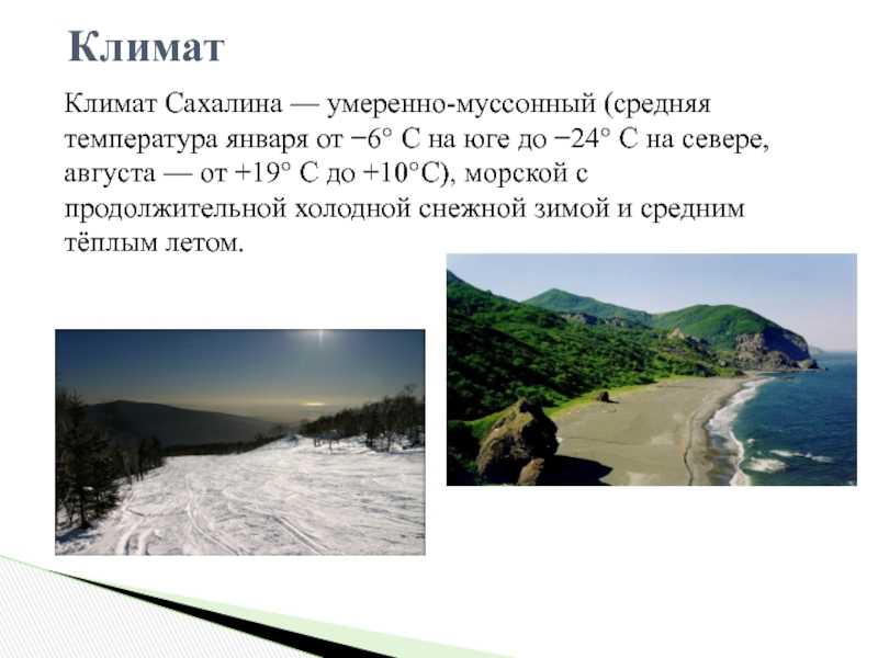 Сахалин — самый большой остров россии и факты о нем: история присоединения, климат, природа, обитатели. где находится остров сахалин? | дорога знаний
