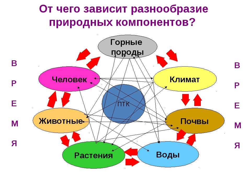Географические системы (геосистемы) и их основные свойства - банк бесплатных рефератов, курсовых, дипломных работ - "студенточка"