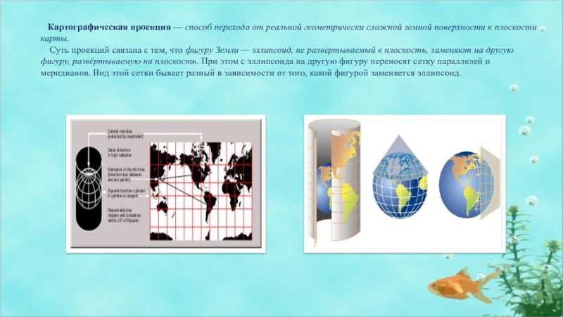 Какие виды картографических проекций вы знаете