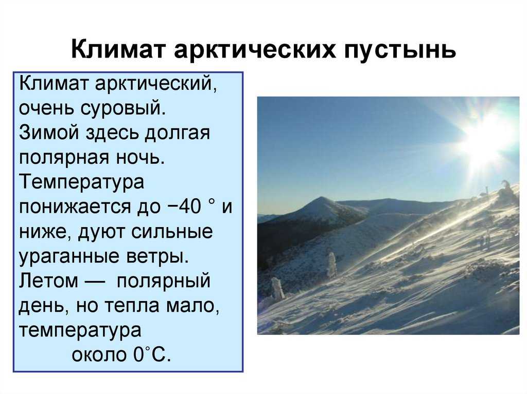 Арктические пустыни: географическое положение, климат, растения, обитатели