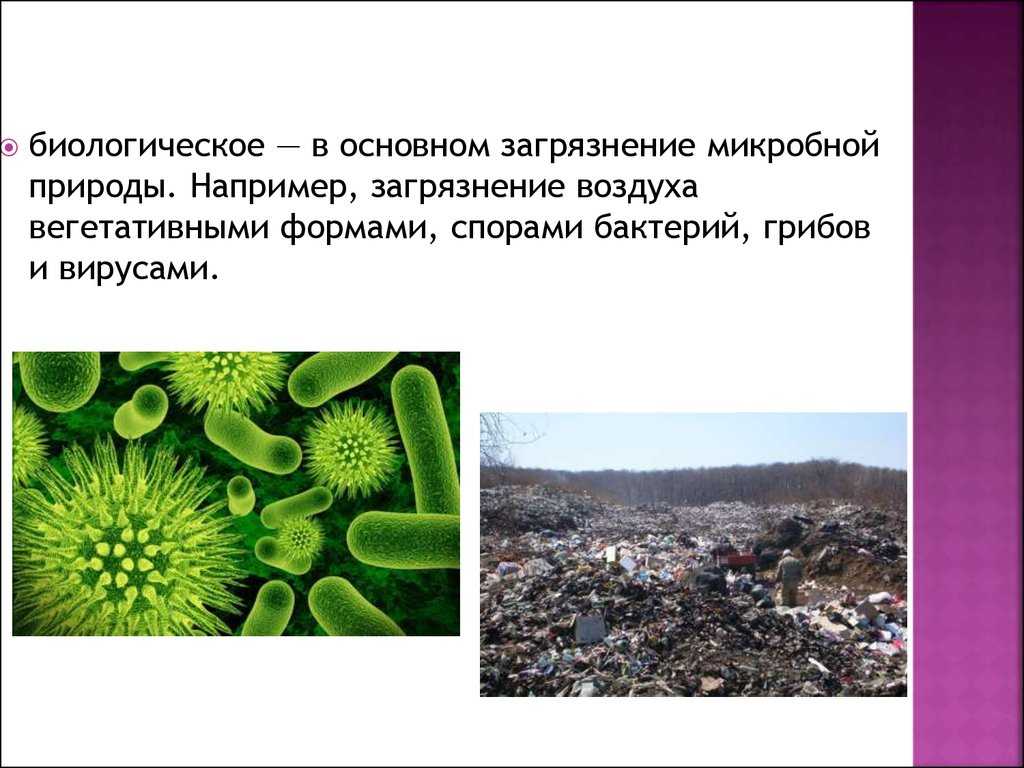 Биологическое природное загрязнение
