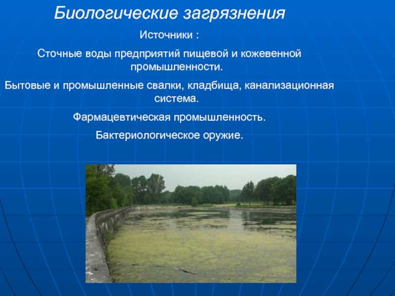 Биологическое оружие и защита от него. действия госслужб и правила поведения населения в очагах поражения. реферат. безопасность жизнедеятельности. 2014-05-07