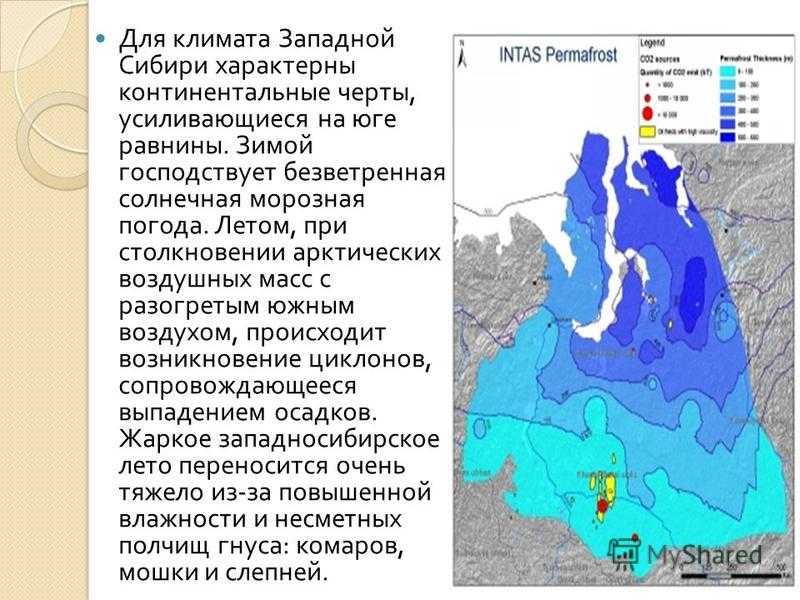 Климатическая область западно сибирской равнины