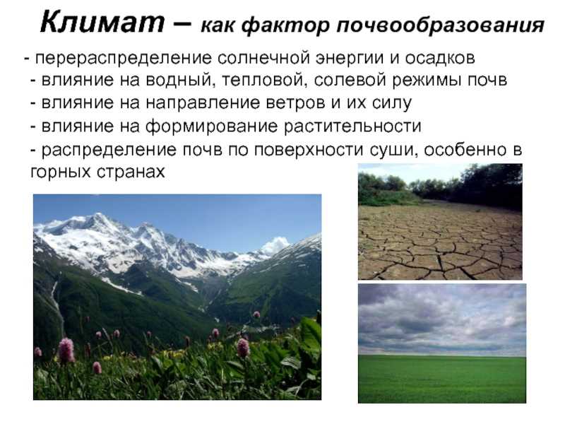Характеристика абиотических факторов среды