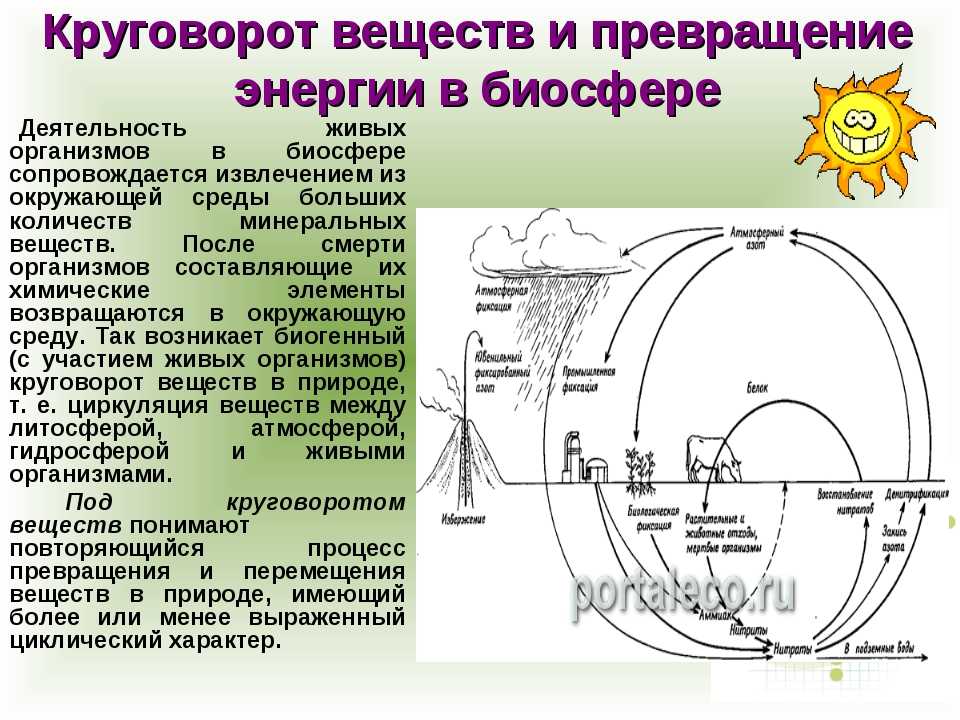 Круговорот веществ в биосфере обеспечивается. Схема биологического круговорота веществ и превращение. Круговорот веществ и энергии в биосфере. Круговорот веществ и превращение энергии в биосфере. Превращение энергии в биосфере.