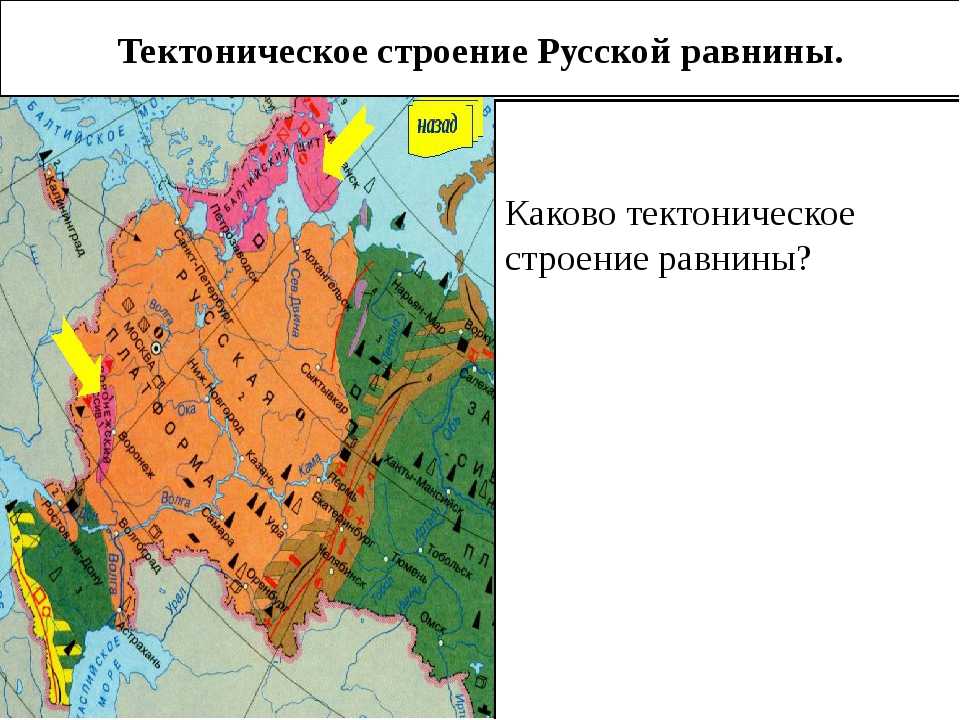 Восточно-европейская платформа: форма рельефа. полезные ископаемые восточно-европейской платформы. экологические проблемы русской равнины. проблемы рационального использования ресурсов русской равнины