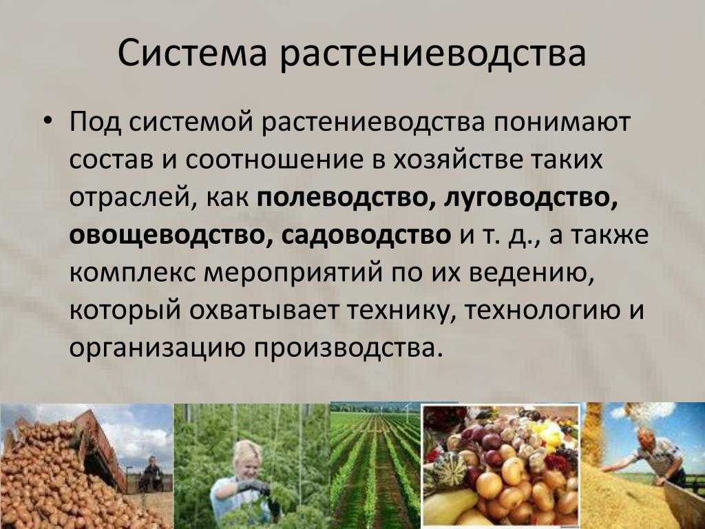 Вопросы к параграфу 3 — гдз по географии 9 класс учебник алексеев, низовцев, ким