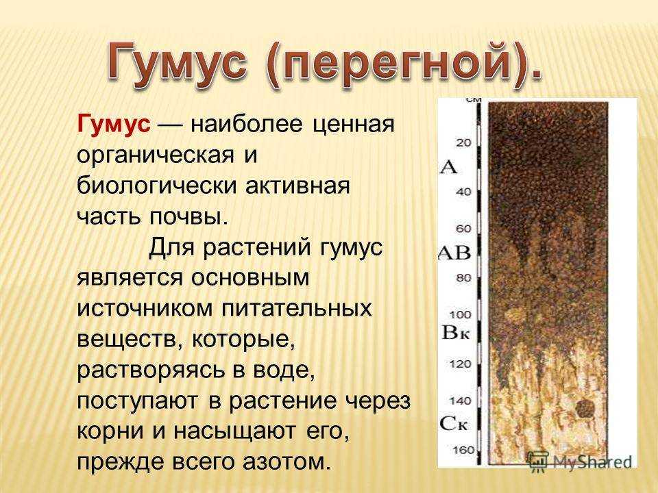 Относительное плодородие почв проявляется