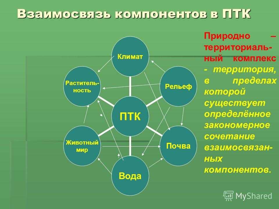 Природные комплексы: размеры, компоненты, примеры и характеристика — природа мира