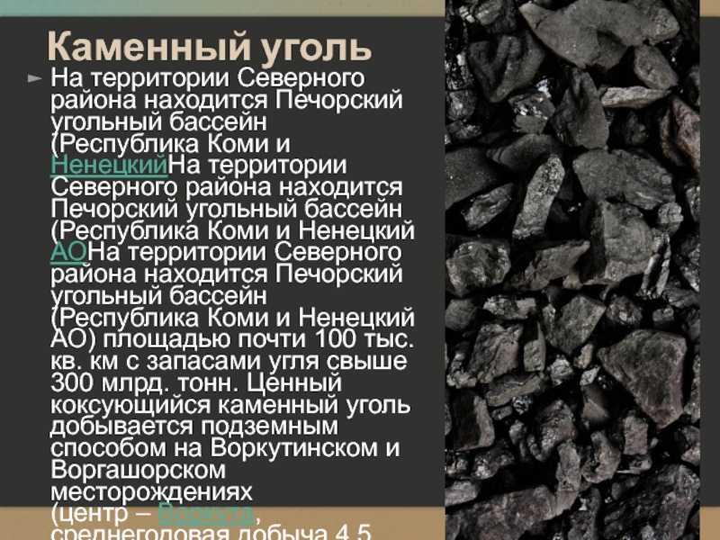Печорский угольный бассейн – географическое положение, характеристика, способ добычи