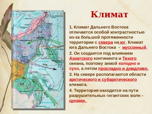 Климат и времена года Дальнего Востока Дальний Восток занимает более одной трети России и включает в себя три края - Камчатский, Приморский и