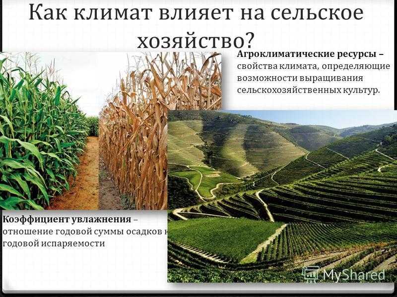 Что такое агроклиматические ресурсы?