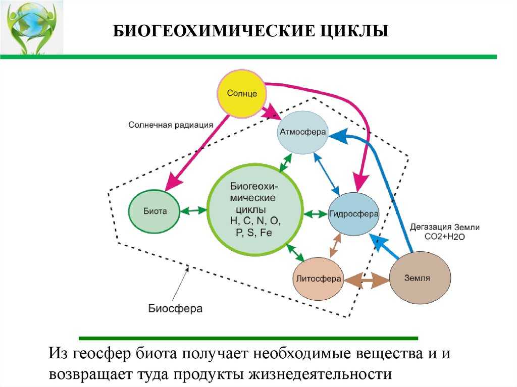 Теория биогеохимических циклов в.и. вернадского