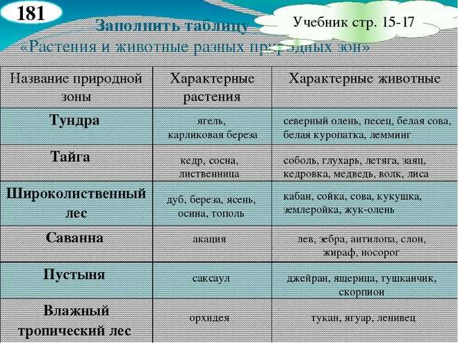 Природные и искусственные экосистемы