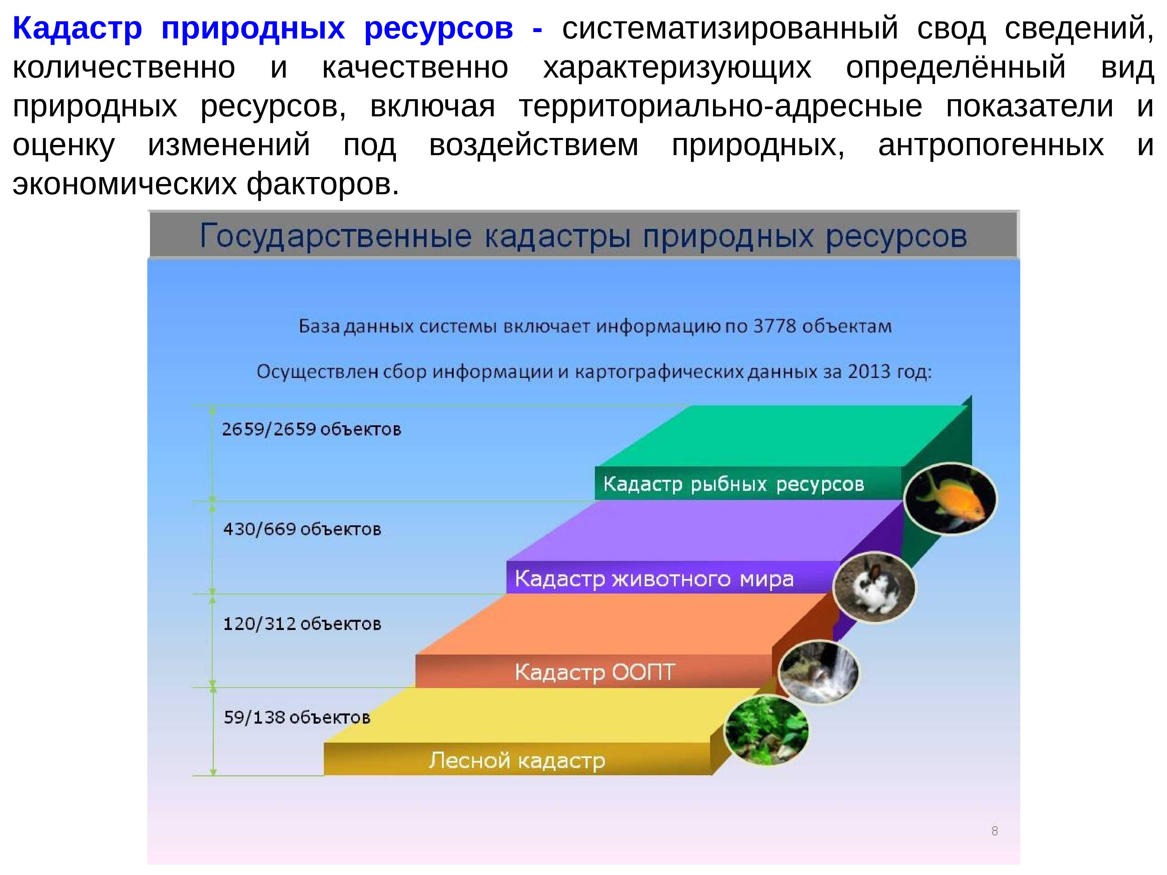 Какие кадастры природных ресурсов вам известны кратко