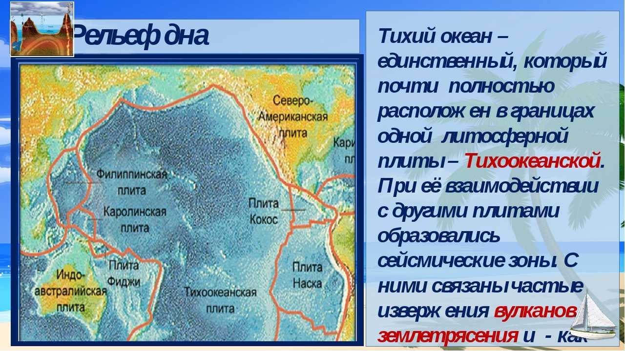 Рельеф дна тихого океана — карта и особенности кратко, география — природа мира