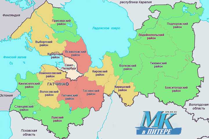 Топографическая карта ленинградская область, высота, рельеф