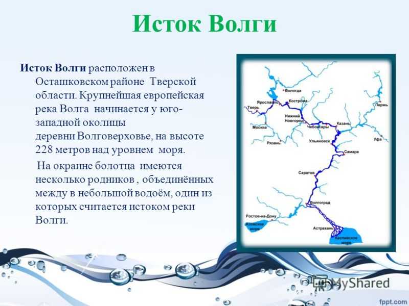 Волга: исток, устье, притоки, бассейн, глубина, история и интересные факты, растения и животные.